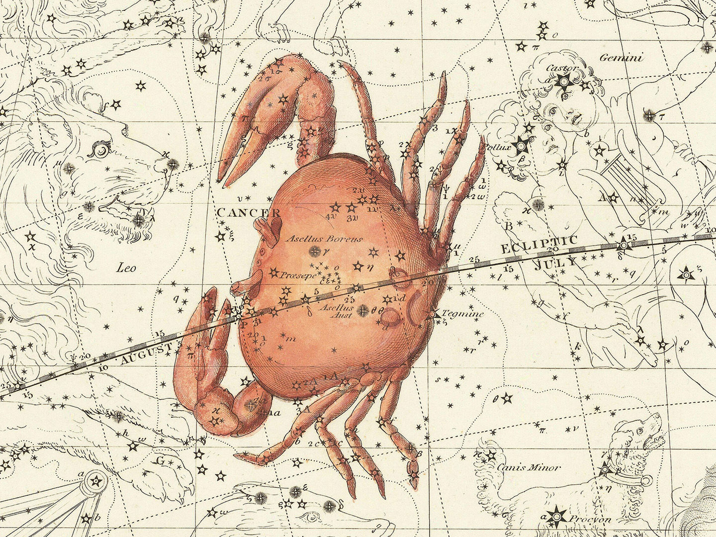 The Symbolism & Psychology of Cancer